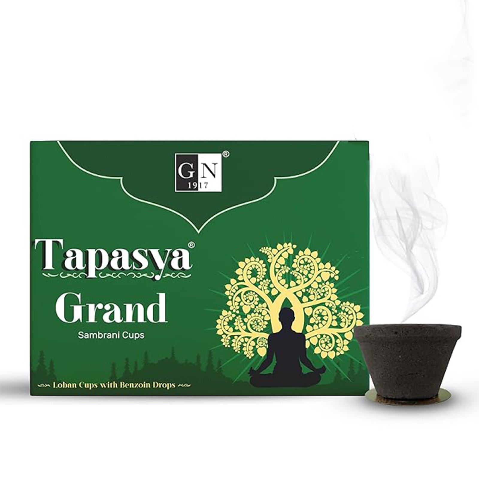 Gn Tapasya Sambrani Cups 12
