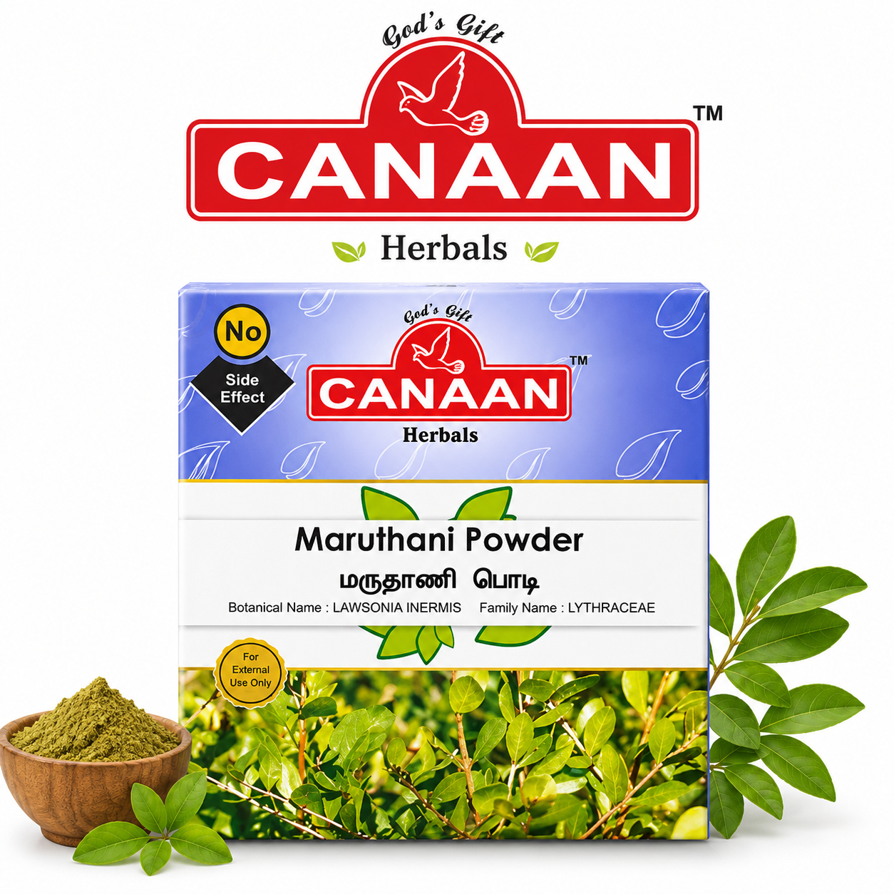 Canaan Maruthani Powder 50Gm